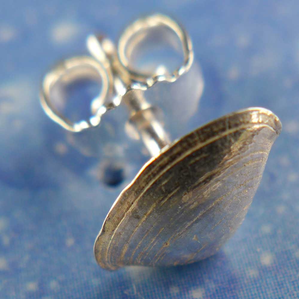 Muschel Ohrstecker Silber Schmuck