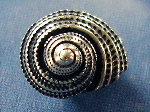 Schnecke Ohrschmuck Silber geschwärzt