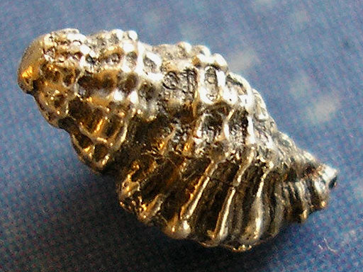 Lamellenschnecke Ohrstecker