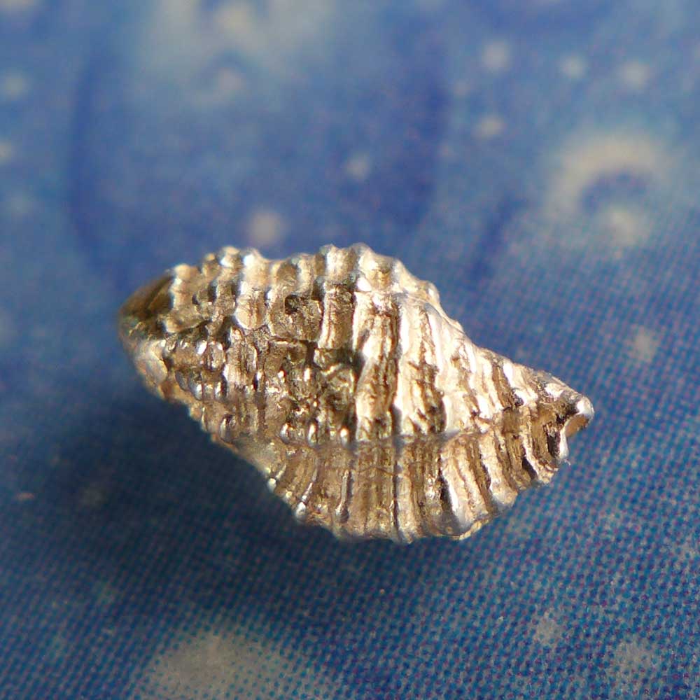 Lamellenschnecke Ohrstecker