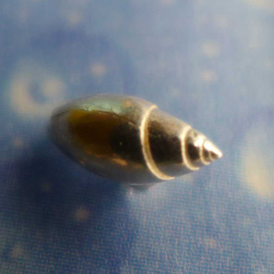 Gelbes Täubchen Ohrstecker