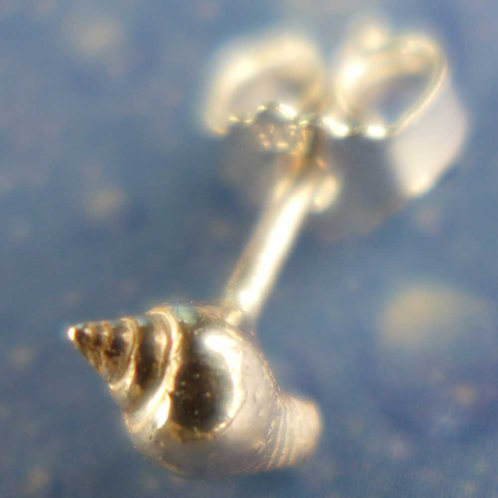 Scuba Schmuck Strombus Ohrstecker xs