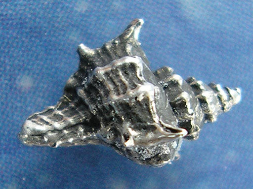 Schneckenschmuck Ohrstecker Herkuleskeule