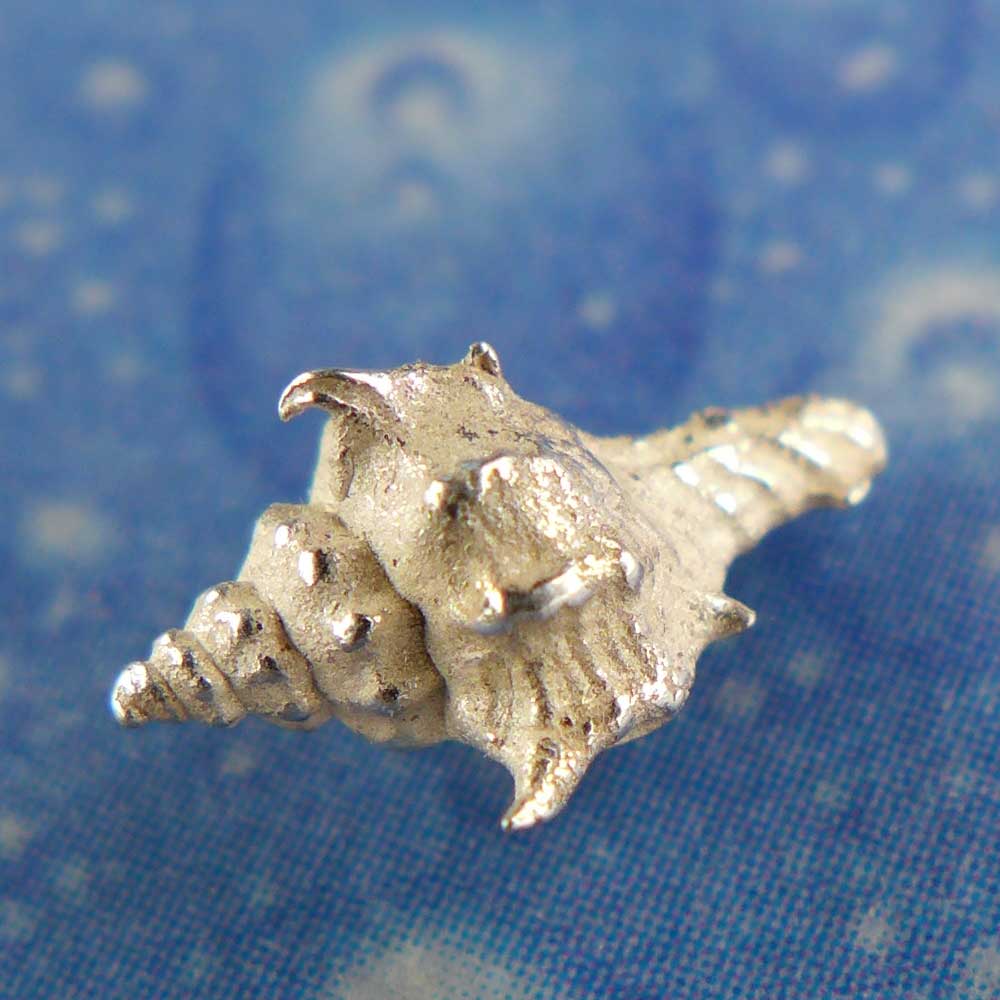 Schneckenschmuck Ohrstecker Herkuleskeule