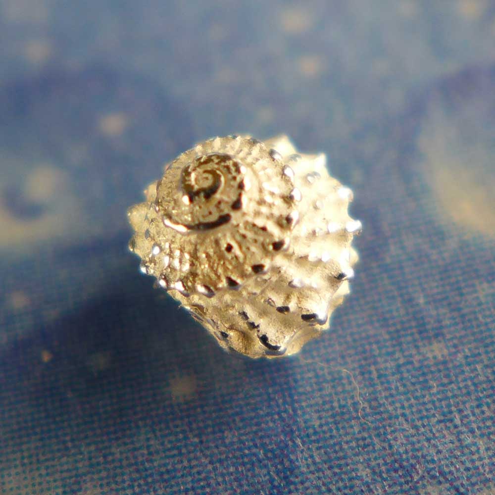 Schmuck Ohrstecker Schnecke Mini