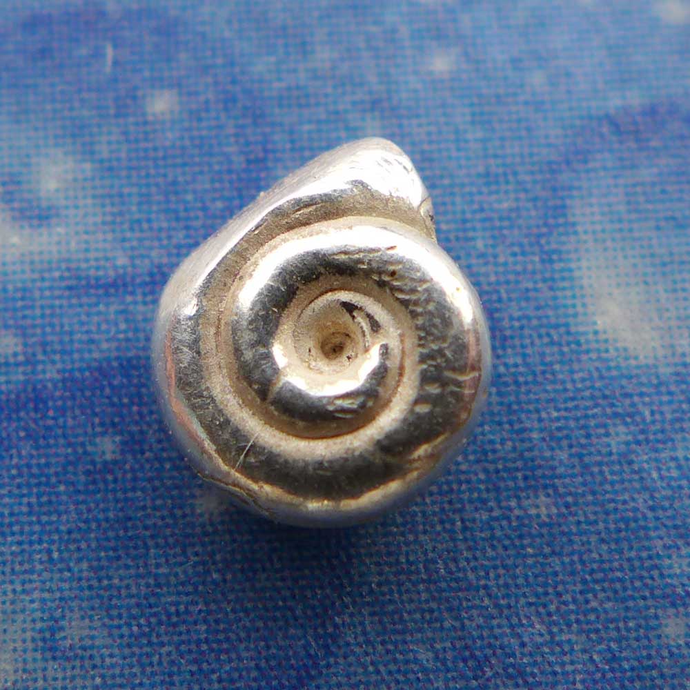 Silber Schnecke Ohrstecker Lagune xxs