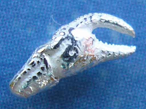 Meer Ohrstecker Krabbenschere Krebs xxxs