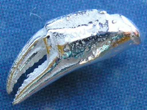 Krabbe Krebs Schere Ohrstecker Silber xxs