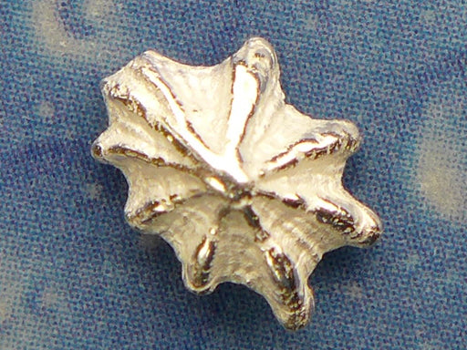 Silber Ohrstecker Napf Schnecke