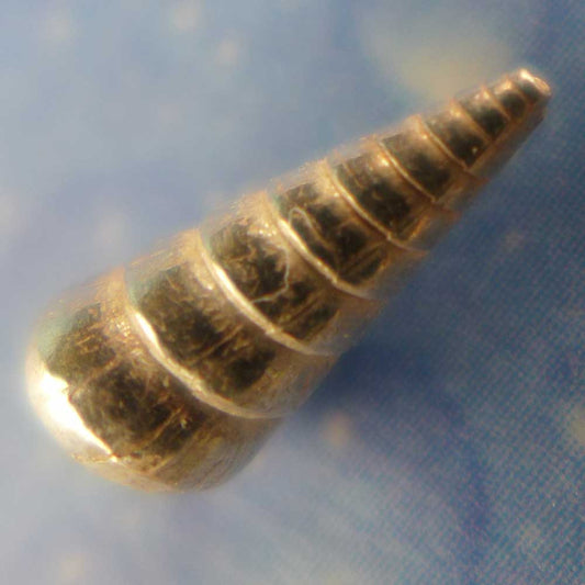 Schmuck von der See Beilpyramide Ohrstecker