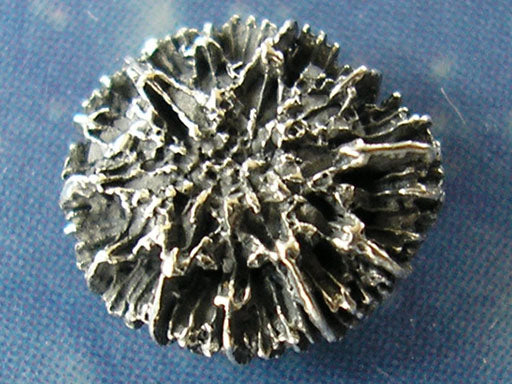 Stern Koralle Ohrstecker Silberschmuck