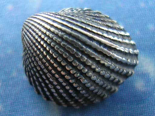 Herzmuschel Taucher Schmuck Ohrstecker Silber