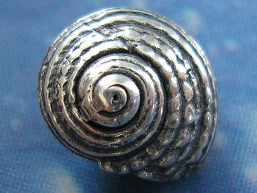 Meerweh Schmuck Knopfschnecke Stecker geg.fl