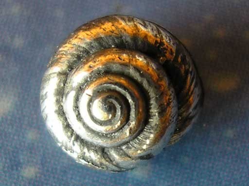 Scuba Schmuck Knopfschnecke Ohrstecker f