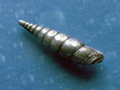 Garten Schnecke Ohrringe Ohrstecker geschwärzt