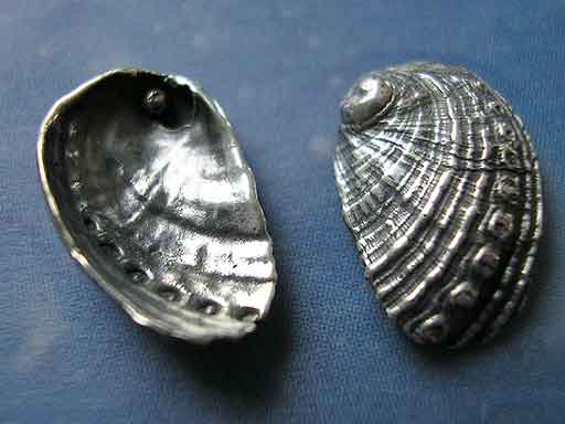 Paua Muschel Seeohr Meerohr Ohrstecker geschwärzt