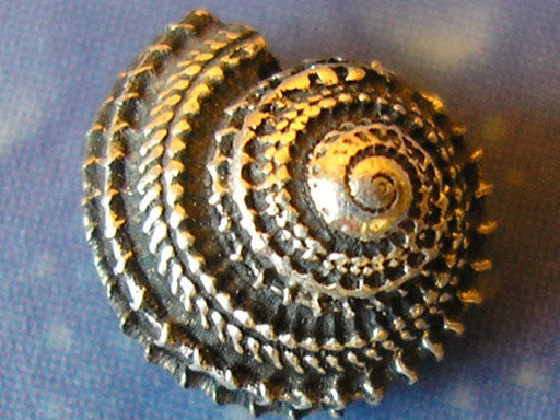 Schnecke Ohrstecker Silber Schmuck geschwärzt