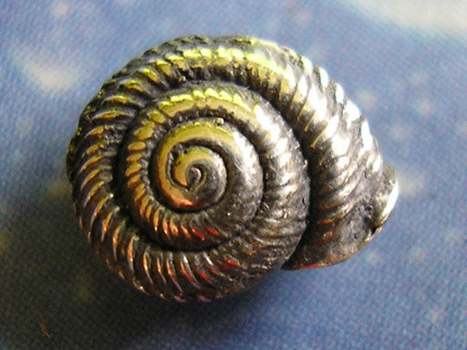 Sommer Sonne Strand Ohrstecker Schnecke qu geschwärzt