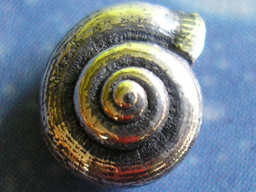 Urlaubs Feeling Schmuck Ohrstecker Schnecke lä geschwärzt