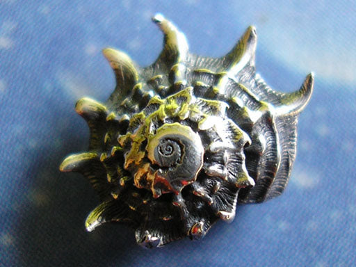 Ohrstecker Schnecke stachelige Sonne geschwärzt