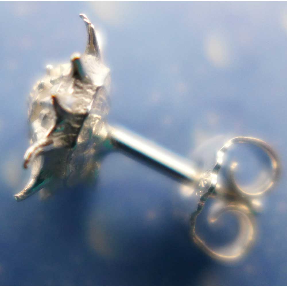 Ohrstecker Schnecke stachelige Sonne