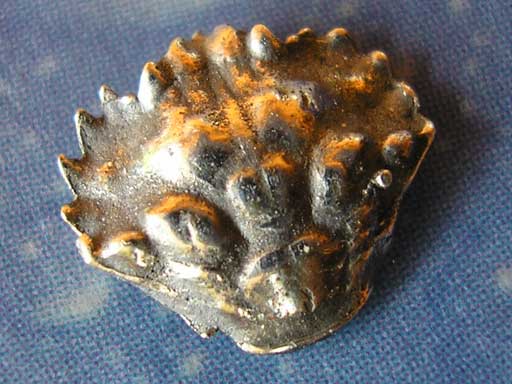 Krebs Krabbe Schmuck Ohrstecker Silber