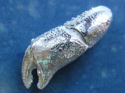 Krabbe Krebs Schere Schmuck Ohrstecker s