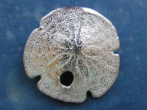 Schmuck Seeigel Sanddollar Ohrstecker xxs