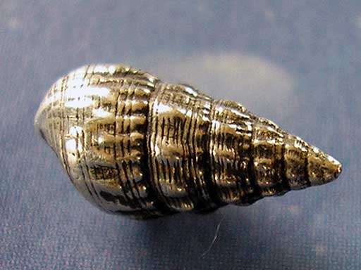 Seetang Schnecke Ohrstecker Schmuck