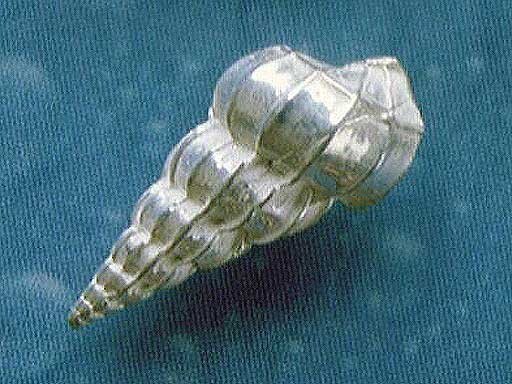 Schmuck Design Ohrringe Wendeltreppe