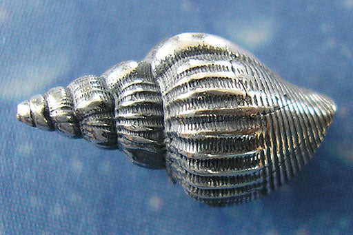 Ozean Schmuck Bandschnecke Ohrstecker geschwärzt