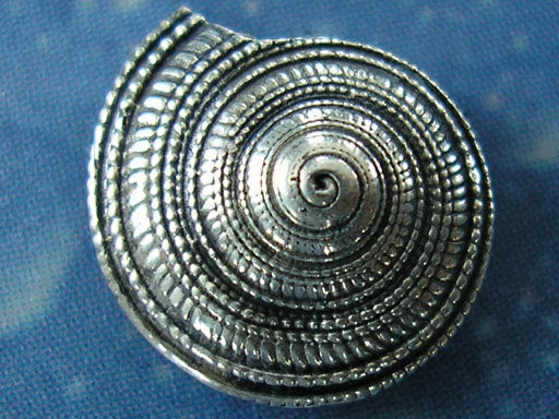 Sonne Strand Meer Schmuck Sonnenuhrschnecke geschwärzt