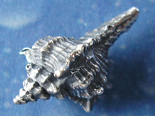 Strandschmuck Herkuleskeule Ohrstecker geschwärzt