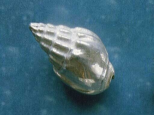 Ocean Schmuckkästchen Ohrstecker