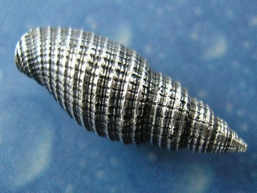 Schmuck Insel Meer Mitra Ohrstecker geschwärzt