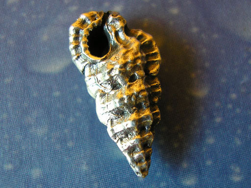 Organischer Schmuck Ahornblatt Ohrstecker geschwärzt