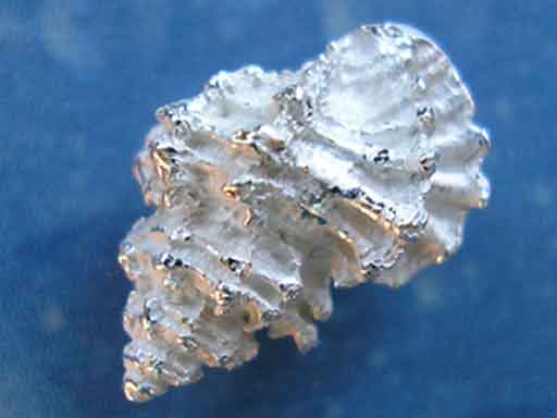 Schmuck Onlineshop Ohrringe Stachelschnecke