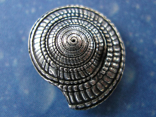 Maritimer Schmuck Sonnenuhrschnecke Ohrstecker geschwärzt