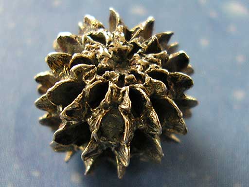 Organischer Schmuck Samen Silber Ohrringe geschwärzt