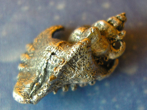 Naturschmuck Haken Schnecke Ohrstecker geschwärzt