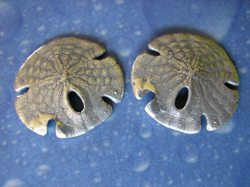 Meer Tiere Schmuck Sanddollar Ohrstecker