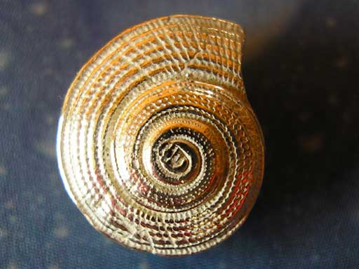 Meerjungfrauen Schmuck Ohrstecker kaufen