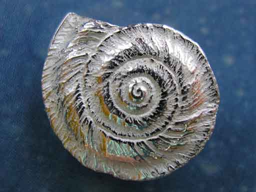 Schmuckdesign Sonnenuhrschnecke Ohrstecker