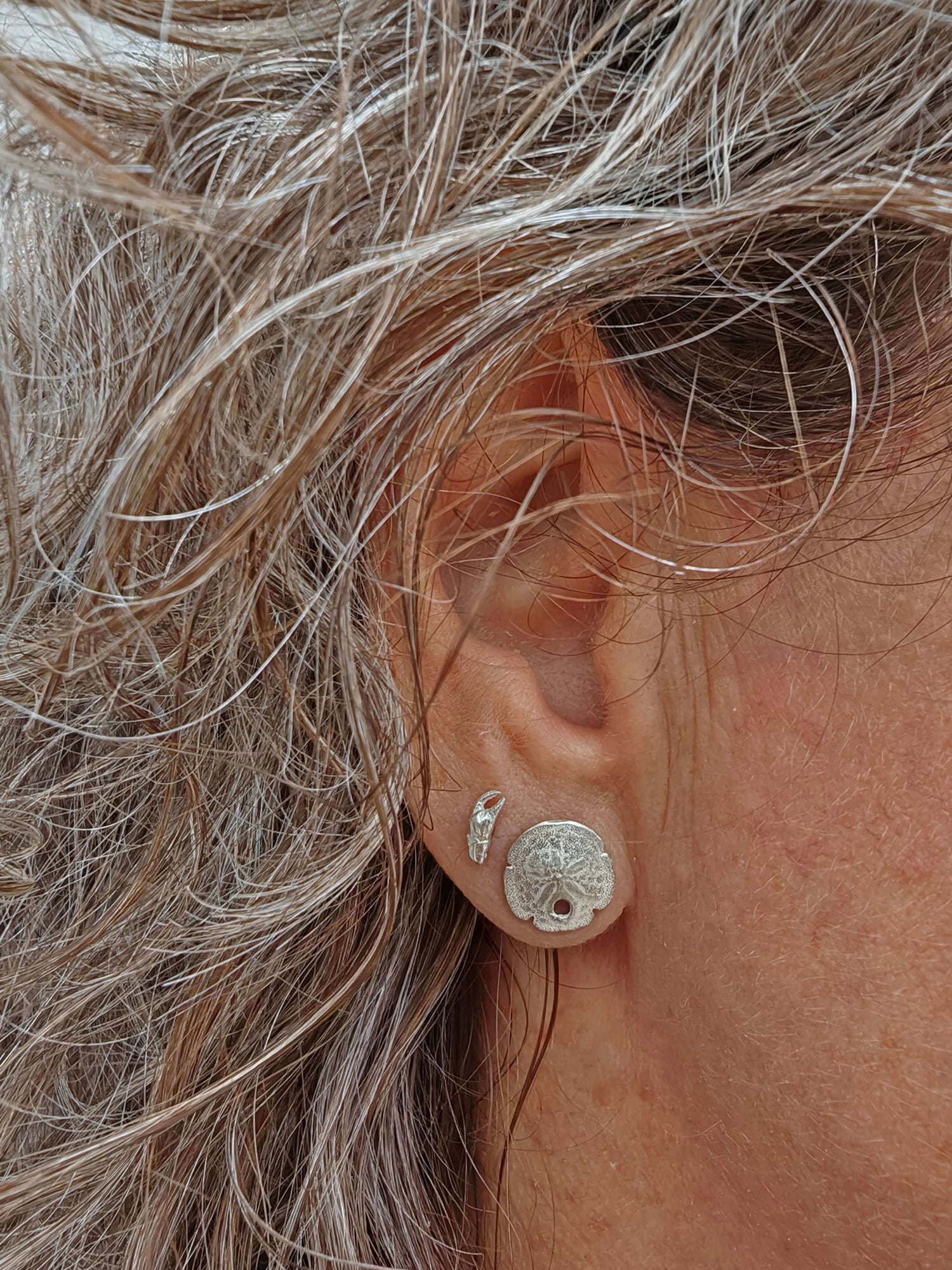 Sanddollar Seeigel Krabbenschere Schmuck