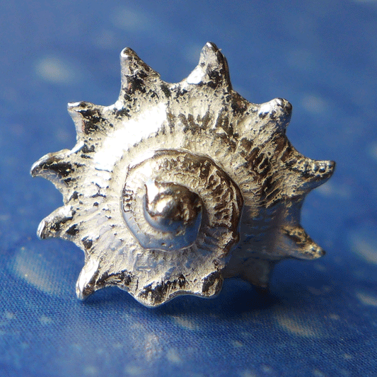 Organischer Schmuck Sonnenschnecke Silber