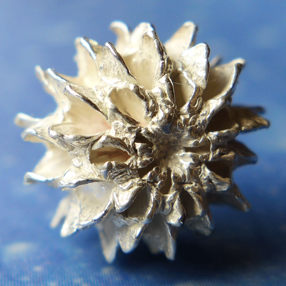 Organischer Schmuck Samen Silber Ohrringe