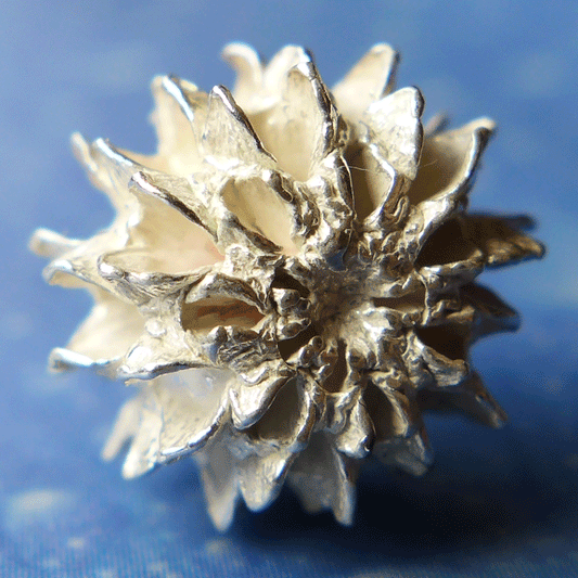 Organischer Schmuck Samen Silber Ohrringe