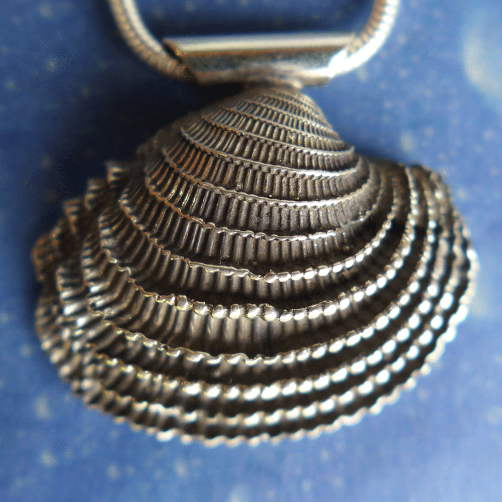 Muschel Perle Lamellen Venus Anhänger