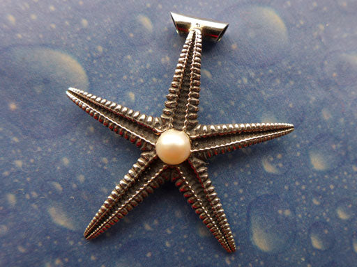 Seesternschmuck Silber Anhänger maritim