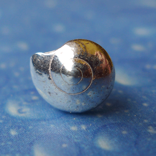 Reif für die Insel Ohrstecker Knopf